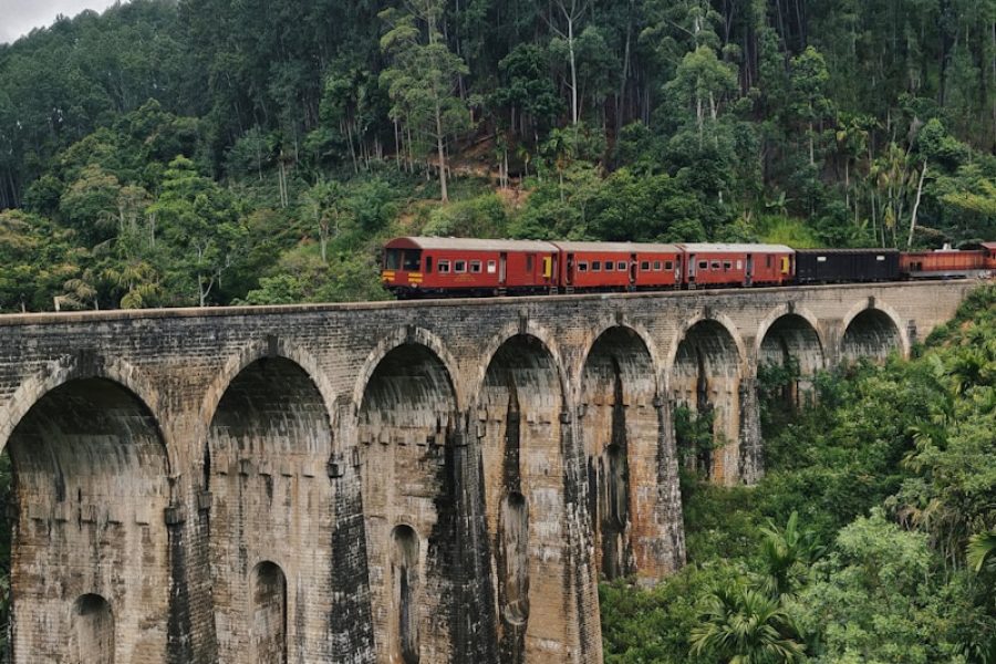 train on bridge in forest